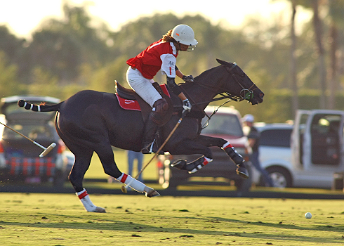 polo magazine IPC polo club florida Alex pacheco photography coca lechuza 5