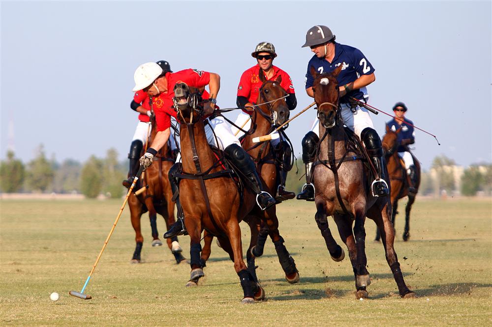 Emirates Open Polo Championship 2013 - third round matches 23-1-2013