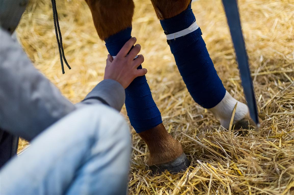  DSC6709-Modifier---andyparant.com