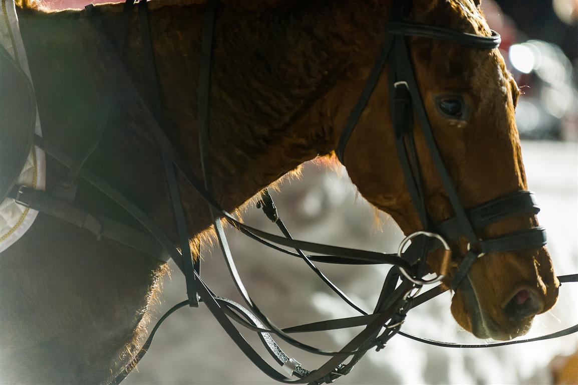  DSC7713-Modifier---andyparant.com