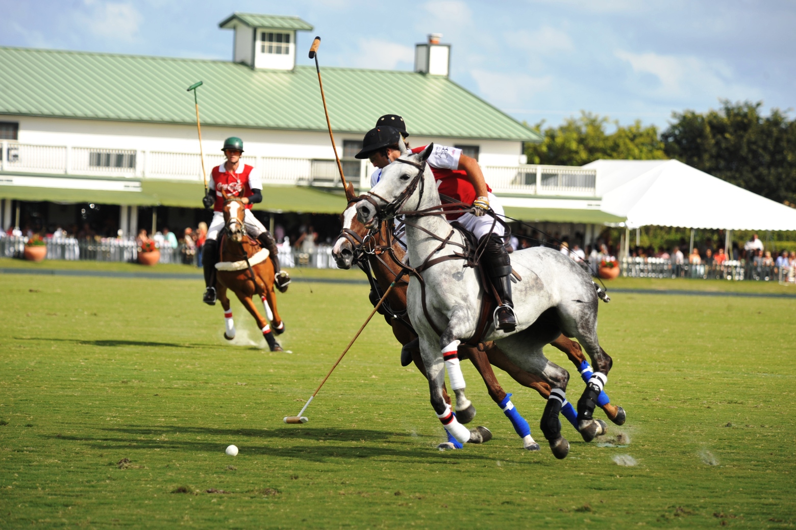 polo top tournament usa ami dela mer 2