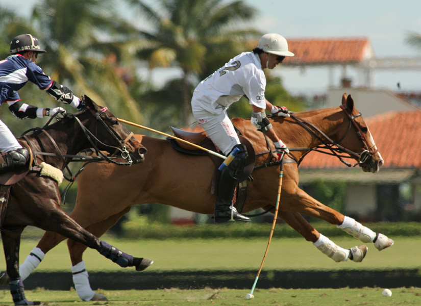 joebarryipcpolomagazine2014pachecophotos 3