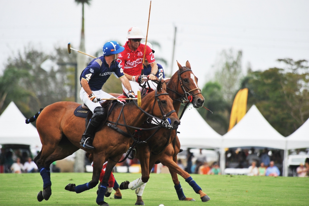 polo 1000x665.41353383459  2 polomagazine.jpg