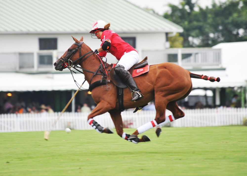 polo 1000x716.31205673759  5 polomagazine.jpg