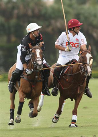 polo magazine polophotos alex pacheco us open florida ipc polo club erg polo team audi polo team 4